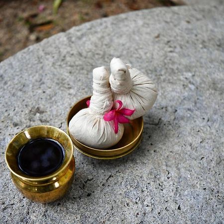 The Royal Heritage Hotel And Ayurvedic Center Thiruvananthapuram Esterno foto