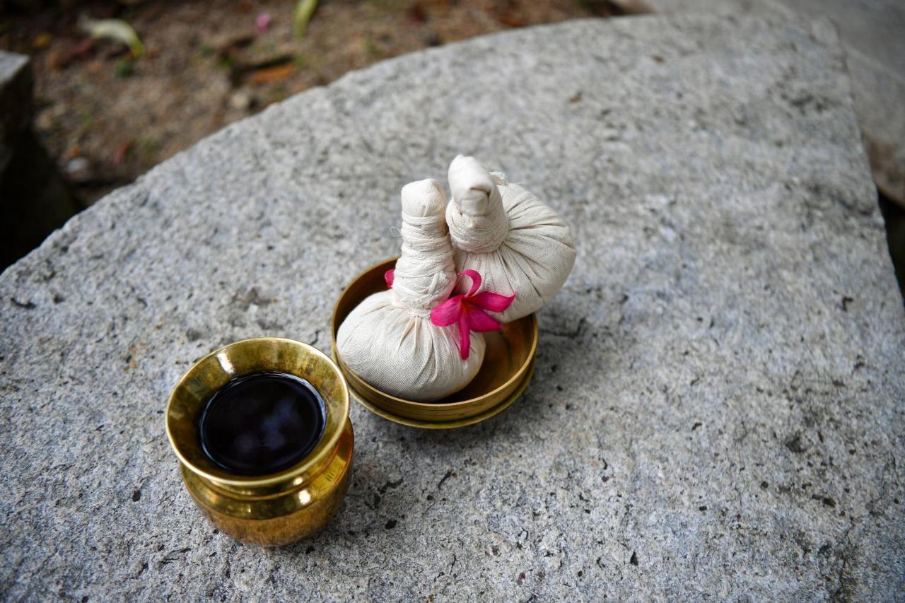The Royal Heritage Hotel And Ayurvedic Center Thiruvananthapuram Esterno foto